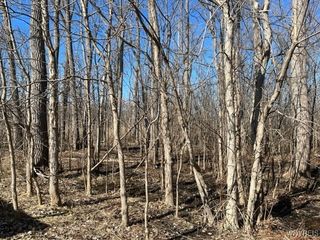 0 Wilson Avenue South, Lancaster, NY 14086