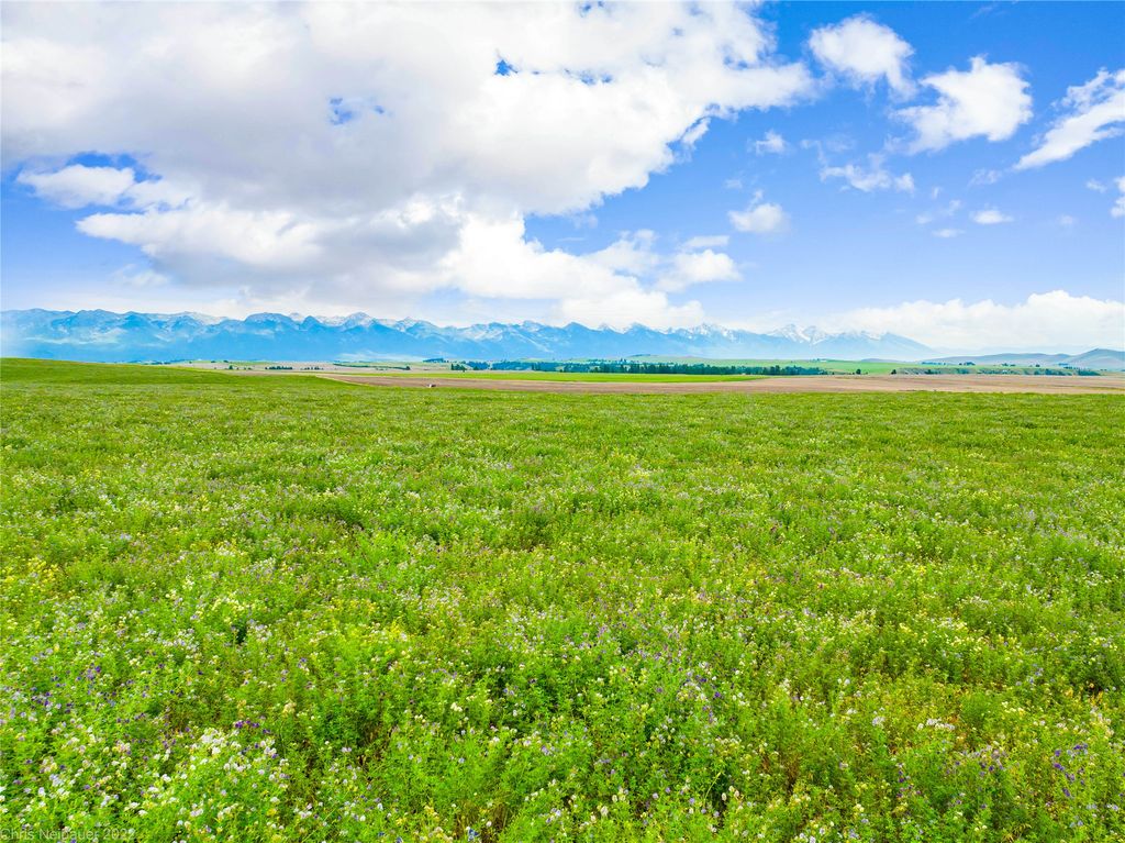 NHN Camas Road, Polson, MT 59860 photo 2