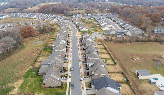 123 Telavera Dr, White House, TN 37188