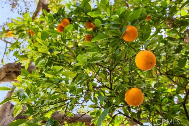 236 W 1st Street, San Dimas, CA 91773