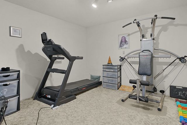 8600 7 Mile Road, Evart, MI 49631