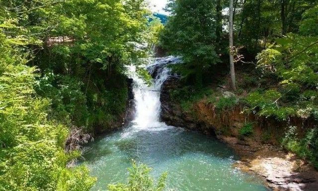 608 Moss Patch Trail, Jasper, GA 30143
