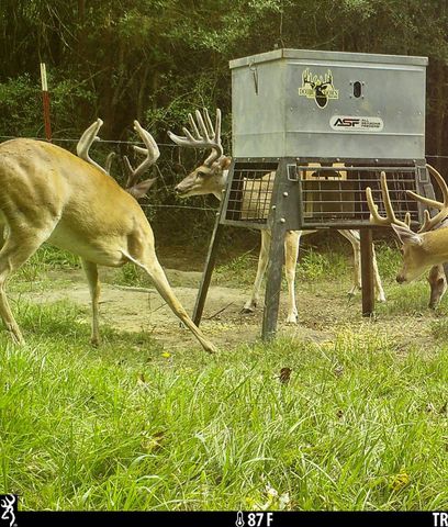 TBD County Road 2090, Liberty, TX 77575