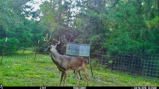 TBD County Road 2090, Liberty, TX 77575