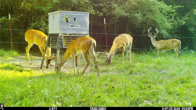 TBD County Road 2090, Liberty, TX 77575