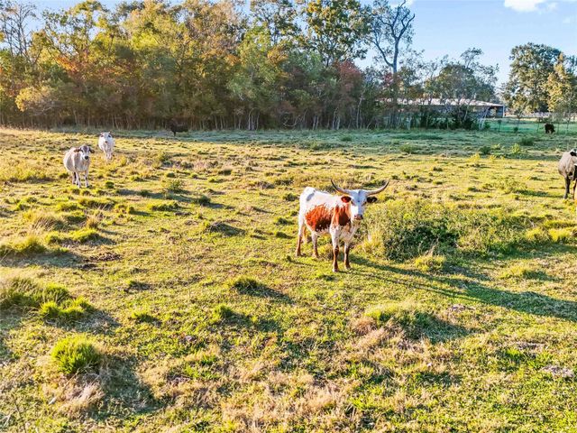 TBD County Road 2090, Liberty, TX 77575