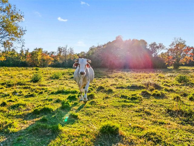 TBD County Road 2090, Liberty, TX 77575