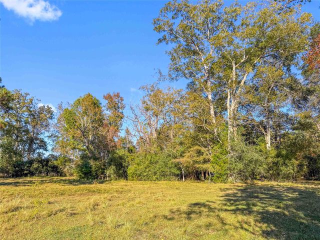 TBD County Road 2090, Liberty, TX 77575