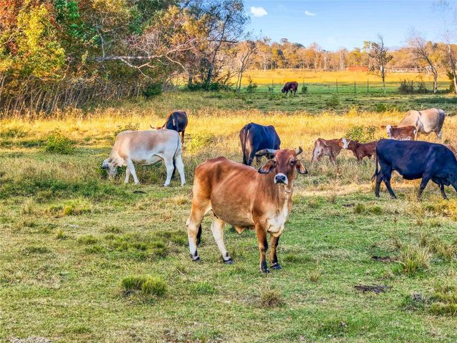 TBD County Road 2090, Liberty, TX 77575