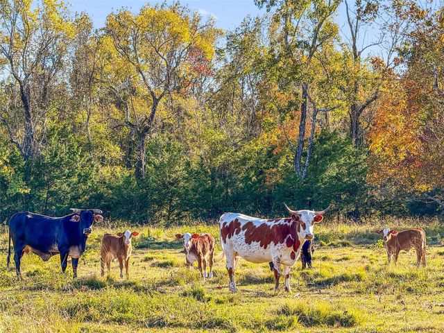 TBD County Road 2090, Liberty, TX 77575