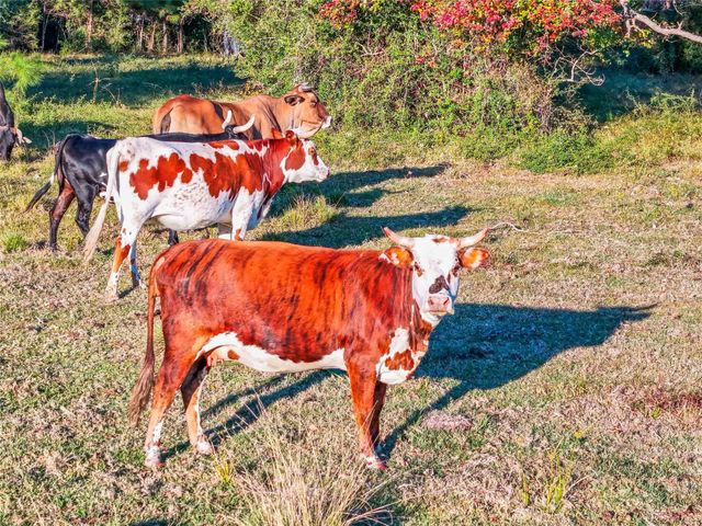 TBD County Road 2090, Liberty, TX 77575