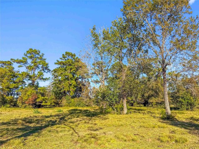 TBD County Road 2090, Liberty, TX 77575