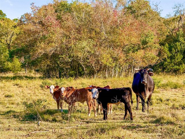 TBD County Road 2090, Liberty, TX 77575