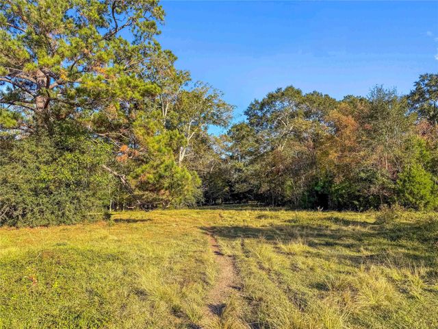 TBD County Road 2090, Liberty, TX 77575
