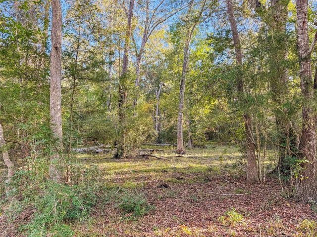 TBD County Road 2090, Liberty, TX 77575