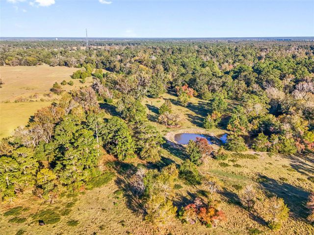 TBD County Road 2090, Liberty, TX 77575