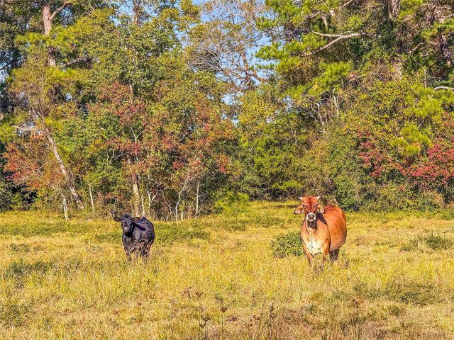 TBD County Road 2090, Liberty, TX 77575