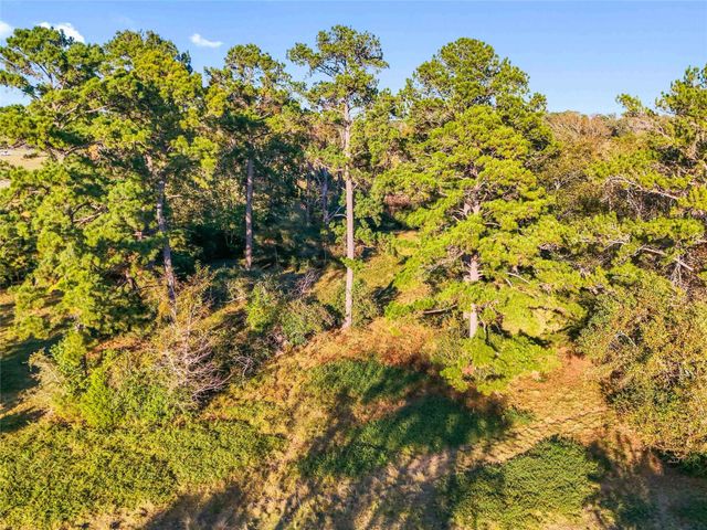 TBD County Road 2090, Liberty, TX 77575