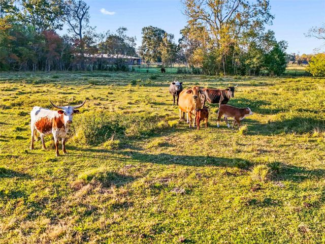 TBD County Road 2090, Liberty, TX 77575