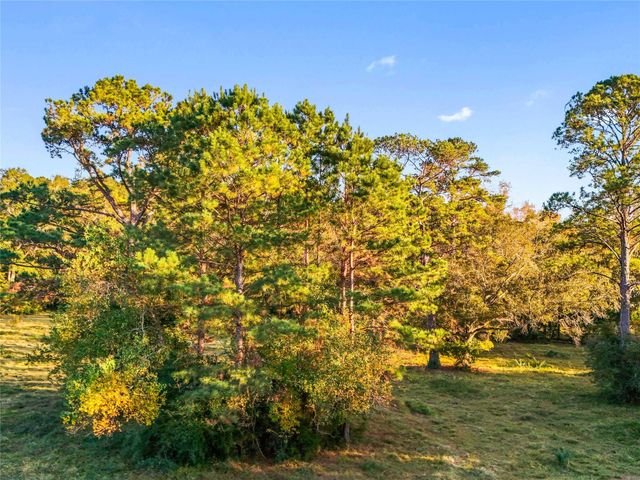 TBD County Road 2090, Liberty, TX 77575