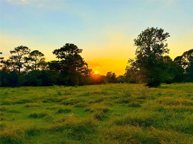 TBD County Road 2090, Liberty, TX 77575