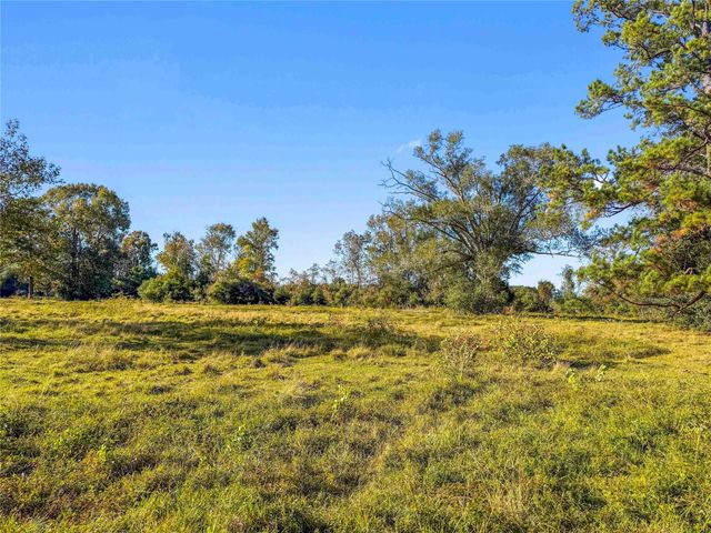 TBD County Road 2090, Liberty, TX 77575