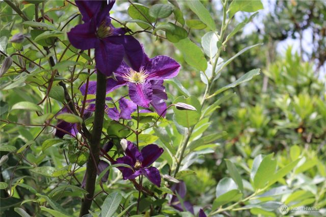 858 Willow Court SW, Ocean Shores, WA 98569