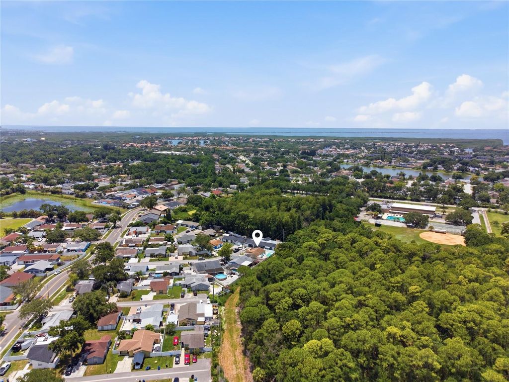Image 13 of property listing at 10311 ORCHARD HILLS COURT, Tampa, FL 33615