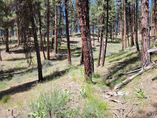 4156 Hwy 21, Idaho City, ID 83631