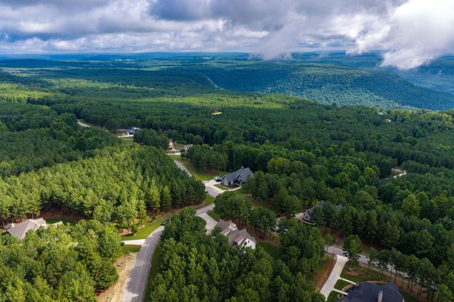365 Lookout View Drive, Jasper, TN 37347