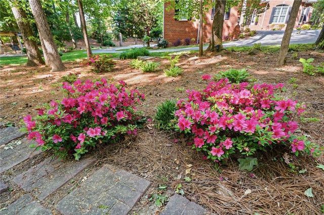 153 York Place, Calhoun, GA 30701