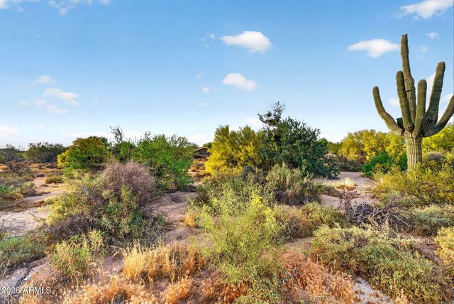 7474 E CHRISTMAS CHOLLA Drive, Scottsdale, AZ 85255