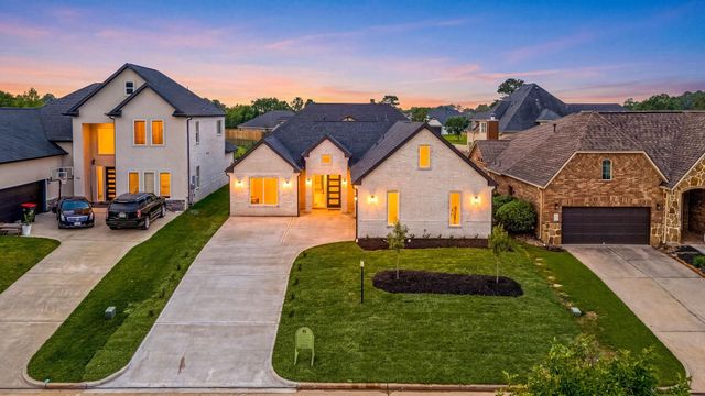 98 Camden Hills Dr Drive, Montgomery, TX 77356