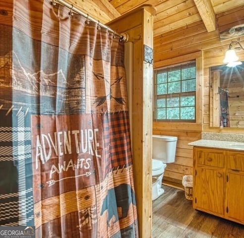 100 Reddick Drive, Blairsville, GA 30512