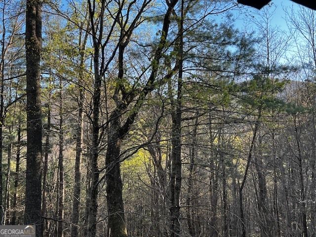 100 Reddick Drive, Blairsville, GA 30512
