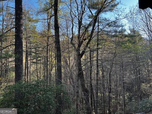 100 Reddick Drive, Blairsville, GA 30512