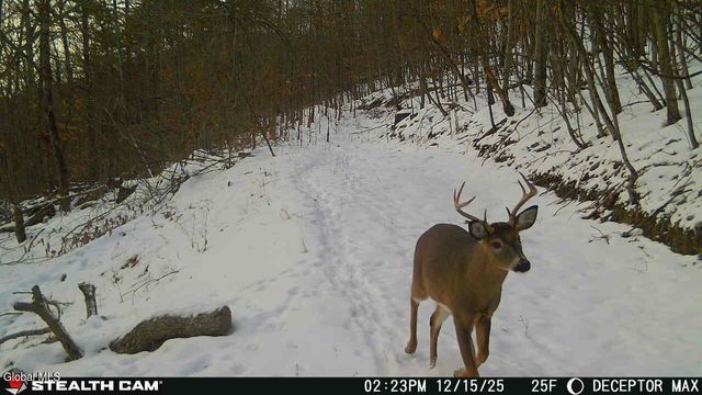 1740 Huntersland Road, Middleburgh, NY 12122