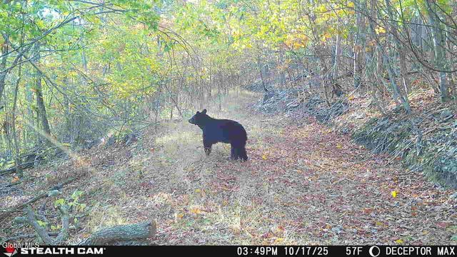 1740 Huntersland Road, Middleburgh, NY 12122