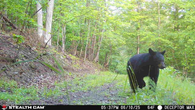 1740 Huntersland Road, Middleburgh, NY 12122