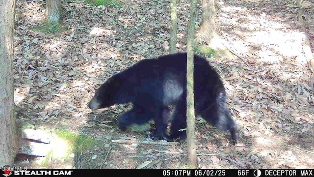 1740 Huntersland Road, Middleburgh, NY 12122