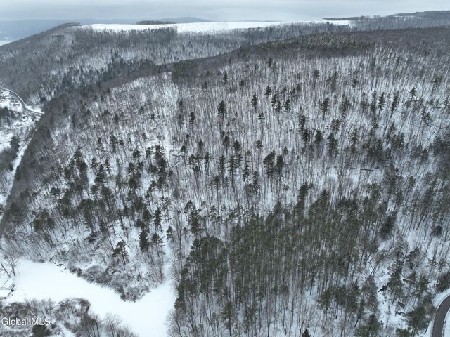 1740 Huntersland Road, Middleburgh, NY 12122