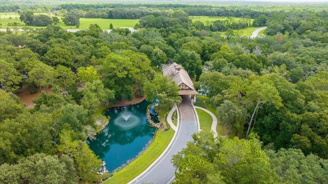 32519 HAWKS LAKE LANE, Sorrento, FL 32776