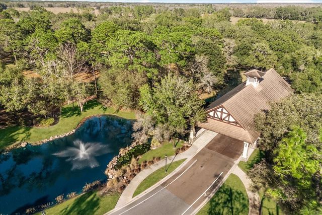 32519 HAWKS LAKE LANE, Sorrento, FL 32776