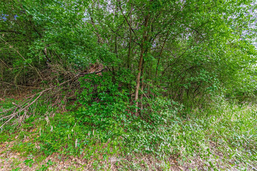 2811 River View Trail, Granbury, TX 76048