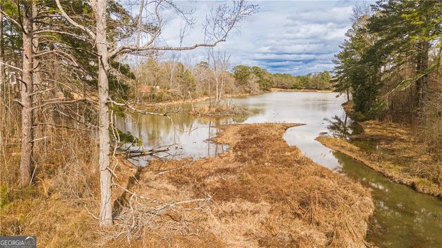 193 Spyglass Circle, Mcdonough, GA 30253