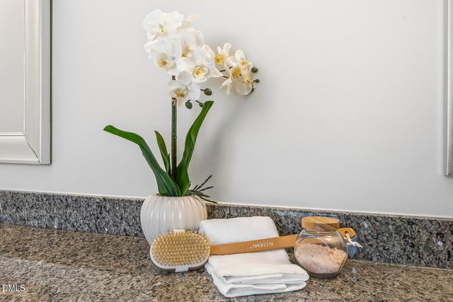 2719 Bushy Lake Cove, Apex, NC 27502