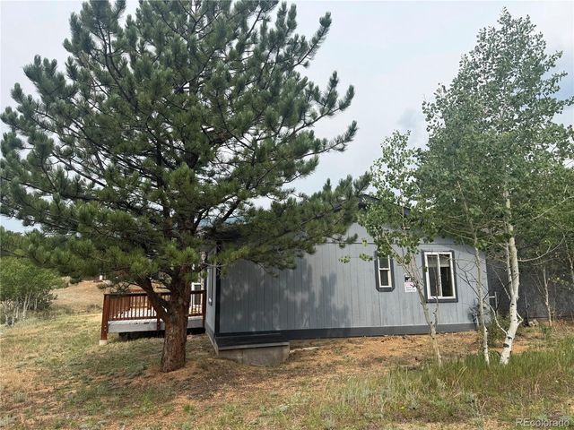 364 Stage Coach Dr, Bailey, CO 80421