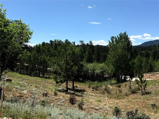 364 Stage Coach Dr, Bailey, CO 80421