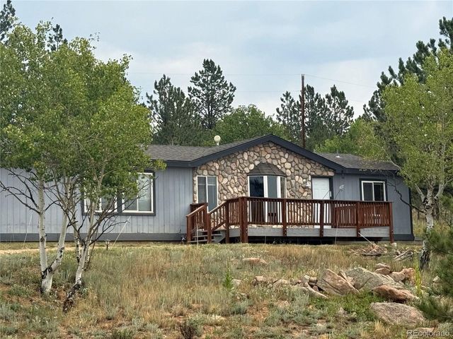 364 Stage Coach Dr, Bailey, CO 80421