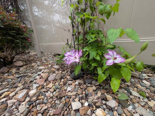 2404 Erik Road, Cedar Falls, IA 50613